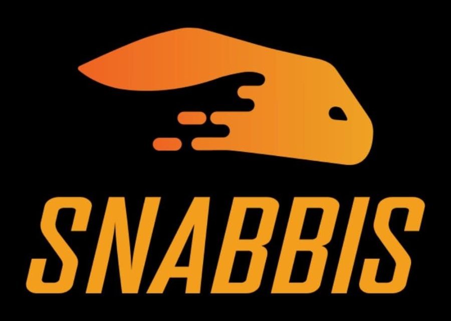 Snabbis Casino